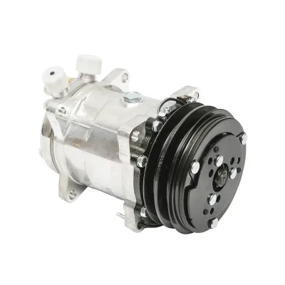 Compressore aria condizionata A/C per Deutz-Fahr, Same, Lamborghini codice OEM 000771984, 001013184, 0.010.1318.4, 0.007.7198.4 - immagine 3