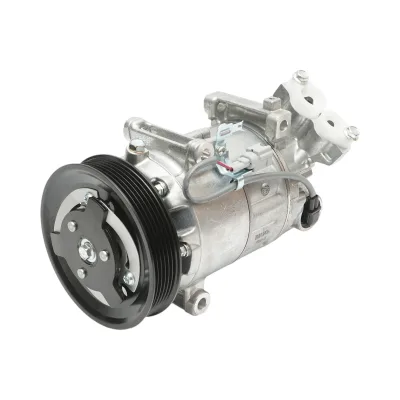 Compressore aria condizionata Renault Grand Scenic III, Megane, Megane III, Modus, Scenic III 1.2-1.6 GPL codice OEM 8200939386