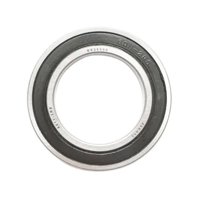 Cuscinetto 6011 2RS - immagine 2
