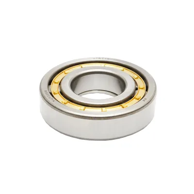 Cuscinetto NUP309 - immagine 3