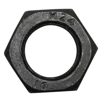 Dado esagonale nero DIN 934 M24x2 G10 25 pz/conf