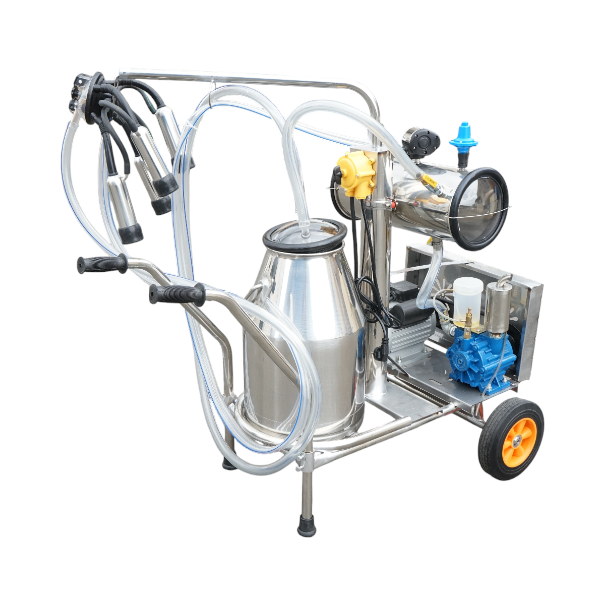 Dispositivo per mungitura di mucche, 1 postazione, 750W, 220V, bidone in acciaio inox da 25L, gruppo di mungitura con 4 manicotti, pressione del vuoto 40-50 kPa, pulsazioni 60-80 cpm.