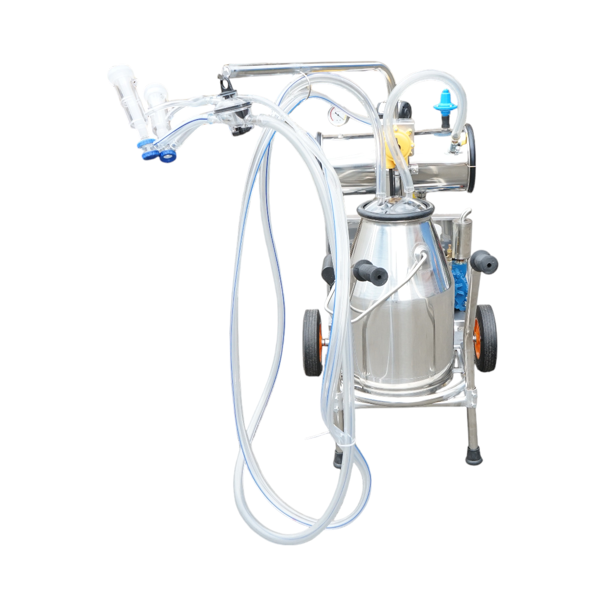 Dispositivo per mungitura di pecore, 1 postazione, 750W, 220V, bidone in acciaio inox da 25L, gruppo di mungitura con 2 manicotti, pressione del vuoto 40-50 kPa, pulsazioni 60-80 cpm - immagine 8