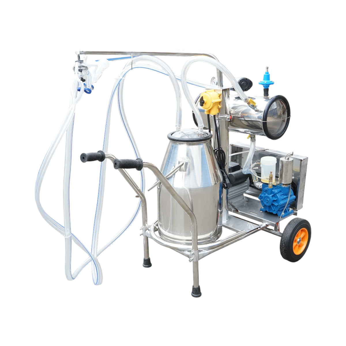 Dispositivo per mungitura di pecore, 1 postazione, 750W, 220V, bidone in acciaio inox da 25L, gruppo di mungitura con 2 manicotti, pressione del vuoto 40-50 kPa, pulsazioni 60-80 cpm