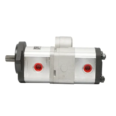 Doppia pompa idraulica, portata 18+14cm3, senso di rotazione a destra per Massey Ferguson OEM 3800195M91 - immagine 4