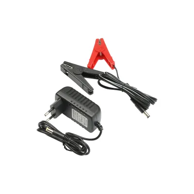 Elettrificatore 2 Joule per recinto elettrico 20Km, 12V/220V, BRITMANN - immagine 4