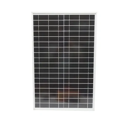 Elettrificatore da 12 Joule, DC12V/220V, con pannello solare da 30W e batteria da 12V 12Ah, contenitore in acciaio inox, per recinto elettrico - immagine 7