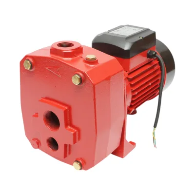 Elettropompa Autoadescante Pompa di superficie 1100W, 220V, prevalenza 38 metri, portata 100 litri/minuto, modello DP505 Breckner Germany - immagine 10