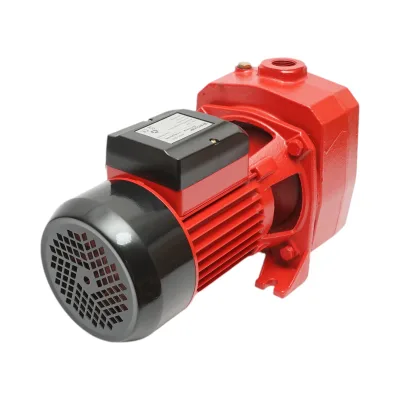 Elettropompa Autoadescante Pompa di superficie 1100W, 220V, prevalenza 38 metri, portata 100 litri/minuto, modello DP505 Breckner Germany - immagine 6