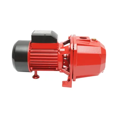 ELETTROPOMPA AUTOADESCANTE POMPA DI SUPERFICIE 750W, 220V, H42m, 80 L/min DP255 Breckner Germany - immagine 4