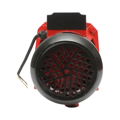ELETTROPOMPA AUTOADESCANTE POMPA DI SUPERFICIE 750W, 220V, H42m, 80 L/min DP255 Breckner Germany - immagine 11