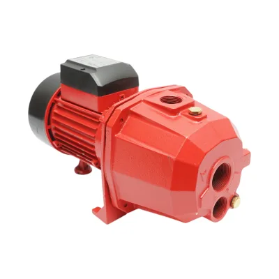 ELETTROPOMPA AUTOADESCANTE POMPA DI SUPERFICIE 750W, 220V, H42m, 80 L/min DP255 Breckner Germany - immagine 6