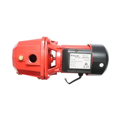 ELETTROPOMPA AUTOADESCANTE POMPA DI SUPERFICIE 750W, 220V, H42m, 80 L/min DP255 Breckner Germany - immagine 7