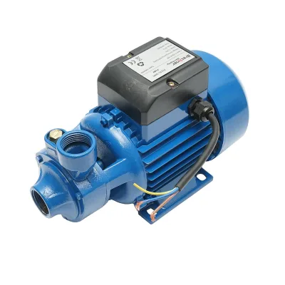 Elettropompa Periferica Breckner Germany Pompa acqua di superficie QB80, 750W, 45L/min, Profondità 50m, 220V, Ghisa, IP54 - immagine 3