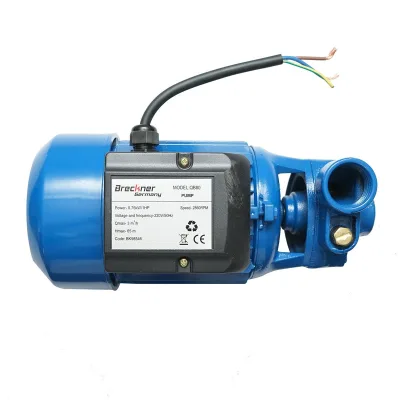 Elettropompa Periferica Breckner Germany Pompa acqua di superficie QB80, 750W, 45L/min, Profondità 50m, 220V, Ghisa, IP54 - immagine 7