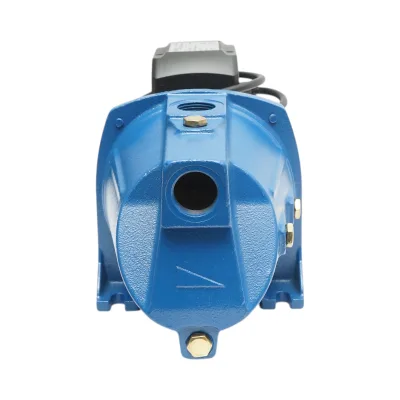ELETTROPOMPA PERIFERICA, Pompa d'acqua di superficie autoadescante Autoclave Periferica 750W, 220V, portata 53 L/min, prevalenza 52 m, modello JSW10M Breckner Germany - immagine 11