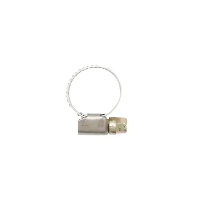 Fascetta stringitubo regolabile in acciaio inox 12-20A