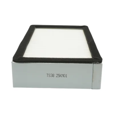 Filtro aria abitacolo Manitou, Lucas G 245x145x51mm codice OEM SKL46456, SC40094 - immagine 5
