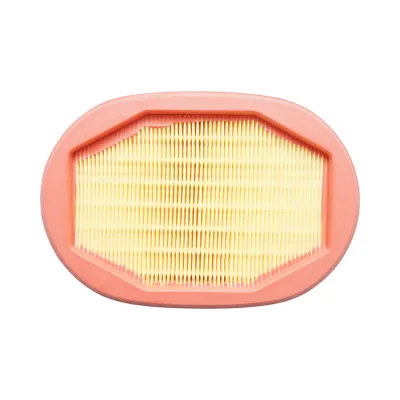 Filtro aria Caterpillar, JCB, New Holland, Valtra 207x142x40mm codice OEM CF2135 SA17317 - immagine 3