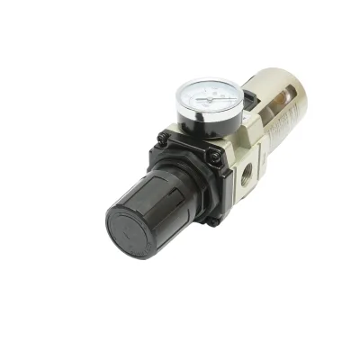 Filtro aria con regolatore di pressione max. 1 MPa, attacco 1/2 - immagine 3