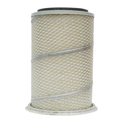 Filtro aria esterno per Massey Ferguson 3595500M1, P771590 - immagine 3