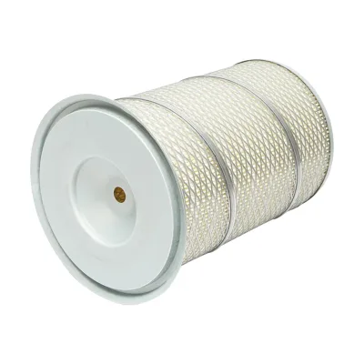 Filtro aria esterno per Massey Ferguson 3595500M1, P771590