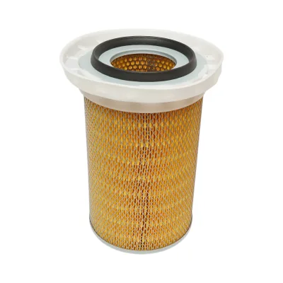 Filtro aria per John Deere cod OEM C19384, SA17002 - immagine 2