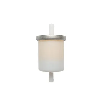 Filtro carburante Codice OEM P550012, XN277, SN149, BE634, Wk31/2, AM876035