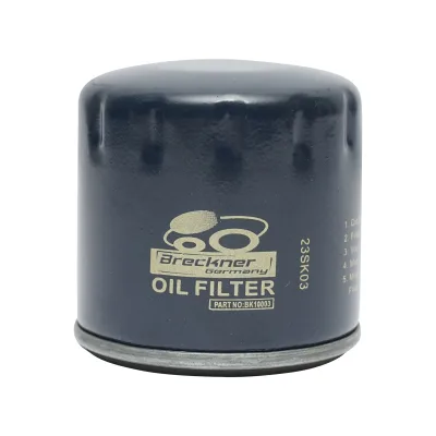 Filtro olio Dacia Duster 1.5 dCI 110 CV, Logan&Sandero 1.0 benzina 8200768927