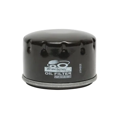Filtro olio Dacia Super Nova, Solenza e Logan MPi benzina 7700274177