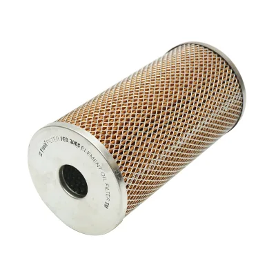 Filtro olio Man 590, 520, DAF, Iveco 194,31x97x30,23mm Codice OEM FEO 3005, equivalenti LF 4072, H 1060, CH 964PL, P77 9004 - immagine 3