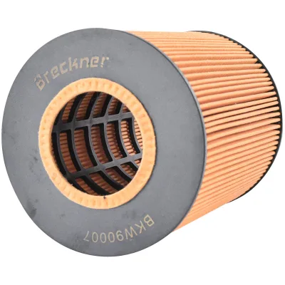 Filtro olio MAN TGA E2000 F2000 codice OEM P550765, HU1381X, XOE098, SO7074, 51055040098 Breckner Germany - immagine 2