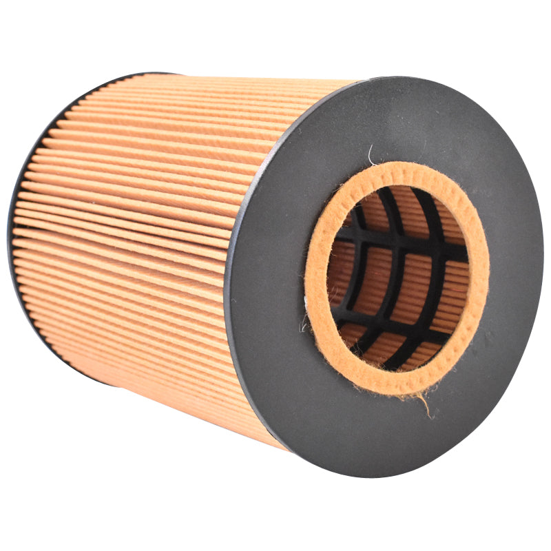 Filtro olio MAN TGA E2000 F2000 codice OEM P550765, HU1381X, XOE098, SO7074, 51055040098 Breckner Germany - immagine 3