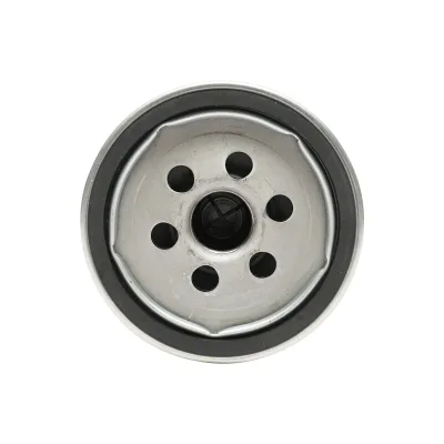 Filtro olio motore per JCB OEM 320-04133 - immagine 4
