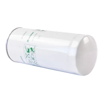 Filtro olio per Volvo Renault Scania codice P553191, W11102/35, XO300, SO3477, 6884417 Breckner Germany - immagine 2