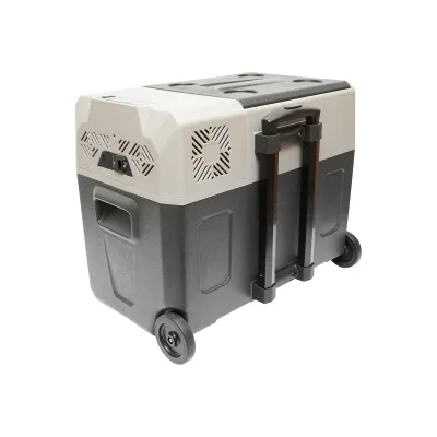Frigorifero auto con compressore 40L 12-24-220V 60W Frigorifero portatile Frigorifero per Auto 220V/12-24V Congelatore Portatile per Auto -20℃-20 ℃