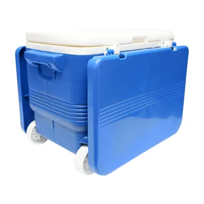 Frigorifero per picnic da 45L, blu, con mensola, Breckner Germany. - immagine 6