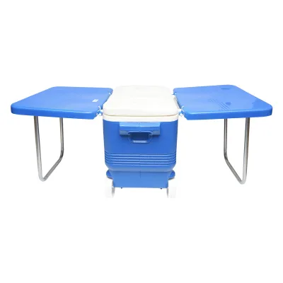 Frigorifero per picnic da 45L, blu, con mensola, Breckner Germany. - immagine 3