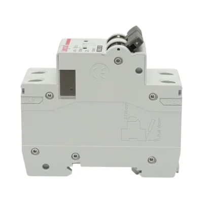 Fusibile automatico MCB 2P 25A 415VAC Longroad - immagine 3