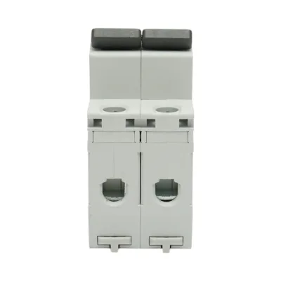Fusibile automatico MCB 2P 25A 415VAC Longroad - immagine 2