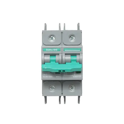 Fusibile automatico per pannelli solari 2P, 100A 600VAC Suntree