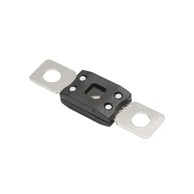 Fusibile per auto ANM 100A Breckner Germany - immagine 3