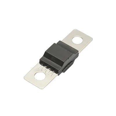 Fusibile per auto ANS 100A Breckner Germany - immagine 2