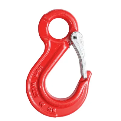 Gancio con anello di sicurezza, carico massimo 2 T