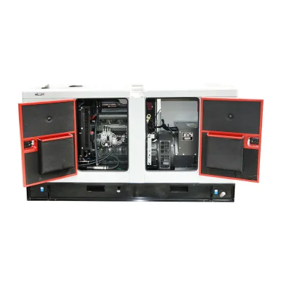 Generatore elettrico trifase 55KVA, 400V con motore diesel Ricardo N4100DS-46/46KW - immagine 4