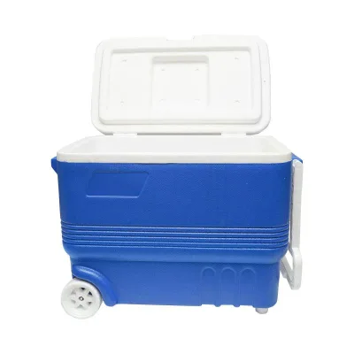 Ghiacciaia Portatile con Ruote, 45L, Blu, 610x330x440mm, Frigo portatile - immagine 2