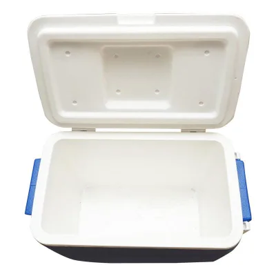 Ghiacciaia Portatile con Ruote, 45L, Blu, 610x330x440mm, Frigo portatile - immagine 3