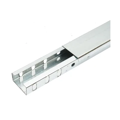 Grondaia metallica non forata, zincata 25x50x2000mm