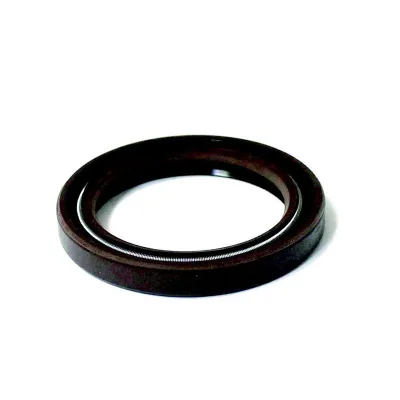 Guarnizione anteriore vibrante Dacia Logan benzina 7700273776