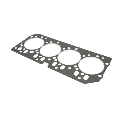 Guarnizione di testa, motore con 4 cilindri, Ø 120 mm, lunghezza 542 mm, larghezza 216 mm per John Deere, codice OEM R116515. - immagine 2